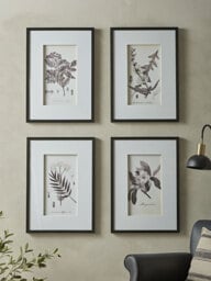 Four Botanical Framed Prints
