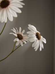 Faux Daisy Spray - Soft Peach - thumbnail 4