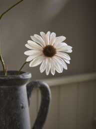 Faux Daisy Spray - Soft Peach - thumbnail 3