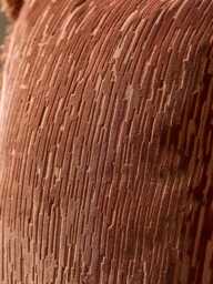 Fringed Deco Cushion - thumbnail 3