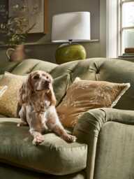 Olive Print Cushion - Ochre - thumbnail 5