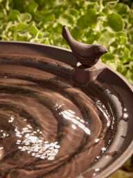 Cast Iron Standing Bird Bath - thumbnail 2