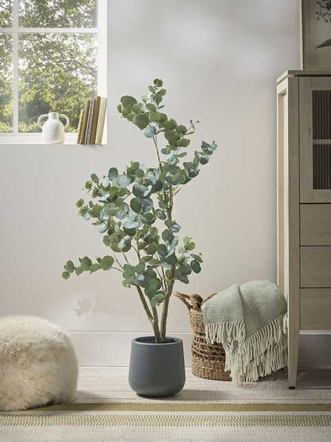 Faux Potted Eucalyptus Tree - Small - image 1