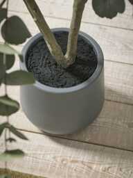 Faux Potted Eucalyptus Tree - Small - thumbnail 5