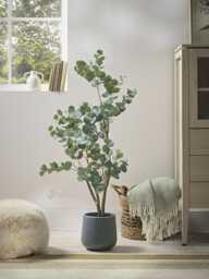 Faux Potted Eucalyptus Tree - Small - thumbnail 1