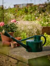 Vintage Green Watering Can