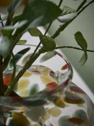 Handpainted Glass Petal Vase - thumbnail 4