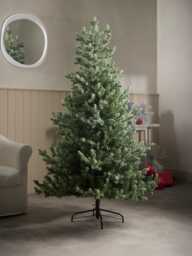 Young Pine Christmas Tree - 6ft - thumbnail 1
