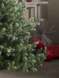 Young Pine Christmas Tree - 6ft - thumbnail 2