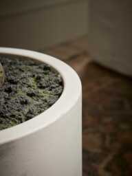 Faux Potted Fruiting Olive Tree - Large - thumbnail 3