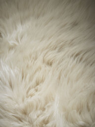 Sumptuous Sheepskin Single Rug - Natural - thumbnail 3