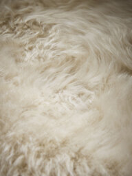 Sumptuous Sheepskin Double Rug - Natural - thumbnail 4