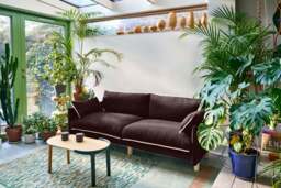 Cozy 3 Seater Sofa - Dark Brown Velvet - thumbnail 7