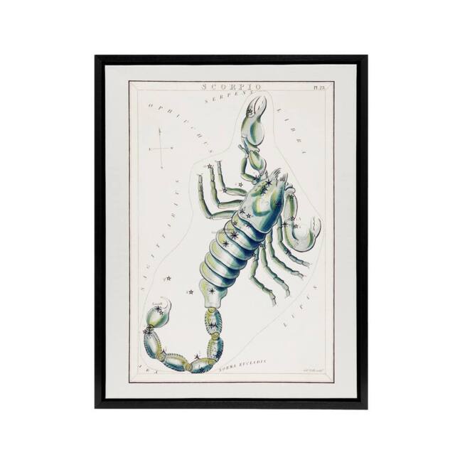 "Artery8 Astronomical Chart illustration of Scorpio Hall Framed Canvas Wall Art in White - Size: W18"" x H24""" - image 1