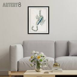 "Artery8 Astronomical Chart illustration of Scorpio Hall Framed Canvas Wall Art in White - Size: W18"" x H24""" - thumbnail 3