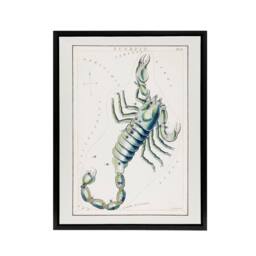"Artery8 Astronomical Chart illustration of Scorpio Hall Framed Canvas Wall Art in White - Size: W18"" x H24""" - thumbnail 1