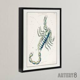 "Artery8 Astronomical Chart illustration of Scorpio Hall Framed Canvas Wall Art in White - Size: W18"" x H24""" - thumbnail 2
