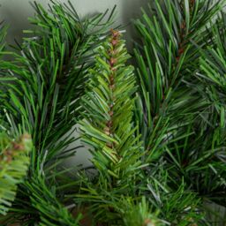 Samuel Alexander 2.7m (9ft) Plain Green Kateson Fir Christmas Garland with 180 Tips - thumbnail 4