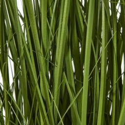 Lemon Pavilion Furniture and Decor Allium Plant in Pot - Plastic - L17 x W17 x H70 cm - White - thumbnail 3