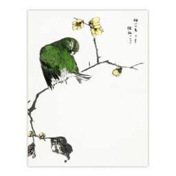 "Artery8 Fairy Pitta & Japanese Allspice Vintage Wall Art Print Kashu - Size: W24"" x H32""" - thumbnail 1