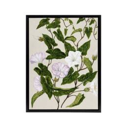 "Artery8 New Zealand Bindweed Wildflowers Featon Framed Canvas Wall Art Print in Beige - Size: W12"" x H16""" - thumbnail 1