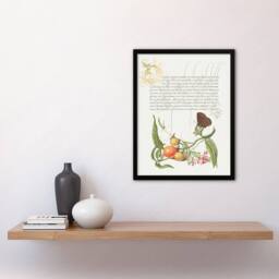 Artery8 Model Book of Calligraphy Framed Wall Art Butterfly Cherries & Milkwort in White - Size: A4 - thumbnail 2