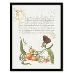 Artery8 Model Book of Calligraphy Framed Wall Art Butterfly Cherries & Milkwort in White - Size: A4 - thumbnail 1