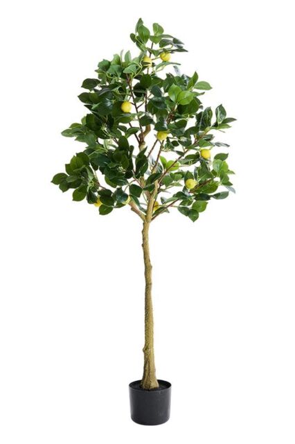 Living and Home 1.58m Artificial Lemon Tree Potted Plant Home Decor for Living Room, Hallway & Balcony in Green - image 1