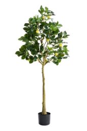 Living and Home 1.58m Artificial Lemon Tree Potted Plant Home Decor for Living Room, Hallway & Balcony in Green - thumbnail 1