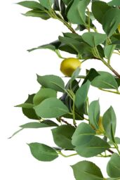 Living and Home 1.58m Artificial Lemon Tree Potted Plant Home Decor for Living Room, Hallway & Balcony in Green - thumbnail 2