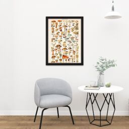 "Artery8 Wall Art Print Millot Encyclopedia Page Mushrooms Fungus Large Framed Wall Décor Art in Black - Size: W18"" x H24""" - thumbnail 2