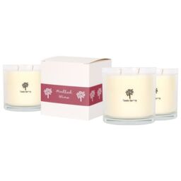 Nicola Spring 3x 400g Soy Wax Scented Candles - Mulled Wine Aromatherapy Jar Candle in Clear - thumbnail 1