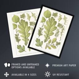 Artery8 Plant Lover Leaves Brockhaus Lexikon Vintage Framed Wall Art Print in White - Size: A4 - thumbnail 2