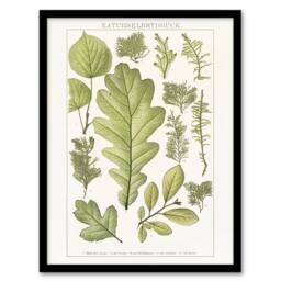 Artery8 Plant Lover Leaves Brockhaus Lexikon Vintage Framed Wall Art Print in White - Size: A4 - thumbnail 1