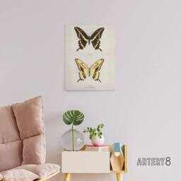 "Artery8 Giant Swallowtail Butterfly Sherman Denton Canvas Wall Art Print in White - Size: W12"" x H16""" - thumbnail 3