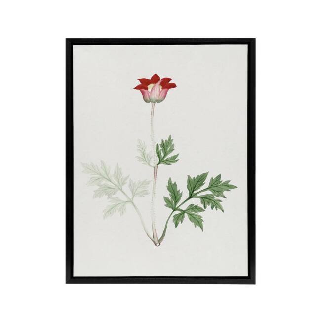 "Artery8 Red Bloom Flower Framed Canvas Wall Art Print Vintage Japanese Botanical - Size: W12"" x H16""" - image 1