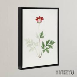 "Artery8 Red Bloom Flower Framed Canvas Wall Art Print Vintage Japanese Botanical - Size: W12"" x H16""" - thumbnail 2