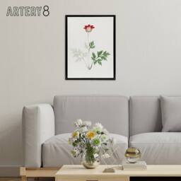 "Artery8 Red Bloom Flower Framed Canvas Wall Art Print Vintage Japanese Botanical - Size: W12"" x H16""" - thumbnail 3