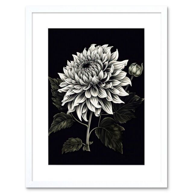 "Artery8 Wall Art Print White on Black Dahlia Flower Bloom Artwork Framed 9X7 Inch - Size: W7"" x H9""" - image 1