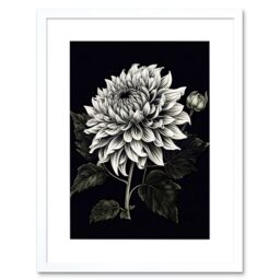 "Artery8 Wall Art Print White on Black Dahlia Flower Bloom Artwork Framed 9X7 Inch - Size: W7"" x H9""" - thumbnail 1
