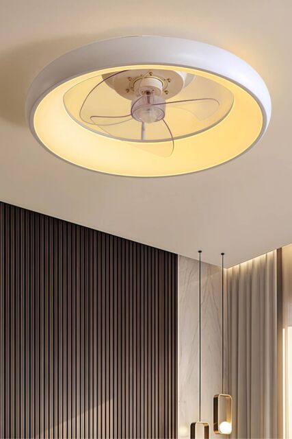 H&O Direct 20-inch Industrial Style Ceiling Mount LED Fan Light in White - image 1