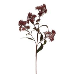 Wyld Haus Set of 3 Medium Burgundy Smokebush Artificial Stems - thumbnail 2