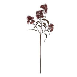 Wyld Haus Set of 3 Medium Burgundy Smokebush Artificial Stems - thumbnail 1