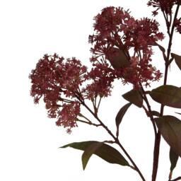 Wyld Haus Set of 3 Medium Burgundy Smokebush Artificial Stems - thumbnail 4