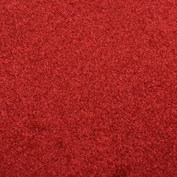 Berkfield Home Doormat Red 40x60 cm - thumbnail 5