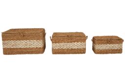 Orsina Lidi Set of Three Seagrass Baskets with Lids in Natural - thumbnail 1
