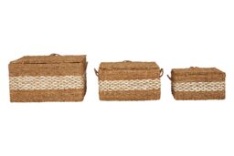 Orsina Lidi Set of Three Seagrass Baskets with Lids in Natural - thumbnail 2