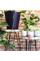 KDMD Set of 3 Whitewash Wooden Plant Stands with Hairpin Legs in Brown - thumbnail 5