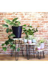 KDMD Set of 3 Whitewash Wooden Plant Stands with Hairpin Legs in Brown - thumbnail 6