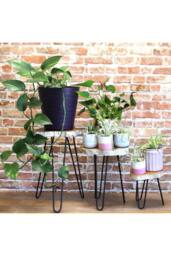 KDMD Set of 3 Whitewash Wooden Plant Stands with Hairpin Legs in Brown - thumbnail 4